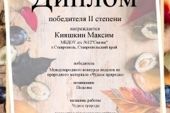 Кияшкин-Максим-ll-степень